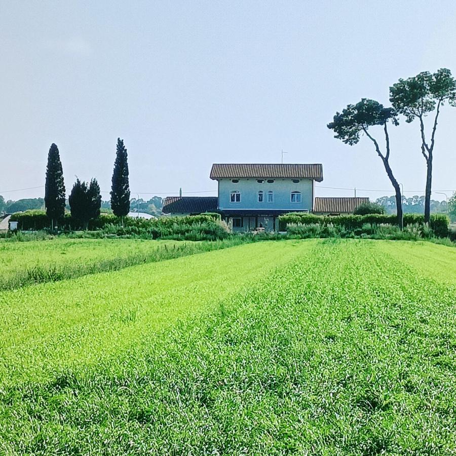 La Ricarda Dimora Di Campagna Bed & Breakfast Paestum Exterior photo